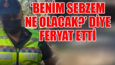 Çiftçi serasına giderken ceza yazıldı, aracına el konuldu