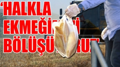 Belediye boş arsalara buğday ekti, ekmek yapıp bedava dağıttı