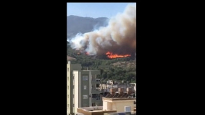 Hatay'da orman yangını