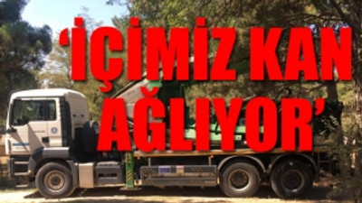 Kuran kursu ve mescit için ağaçlar sökülüyor... İş makineleri yola çıktı