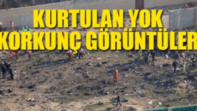 İran'da yolcu uçağı düştü: 180 kişi öldü...