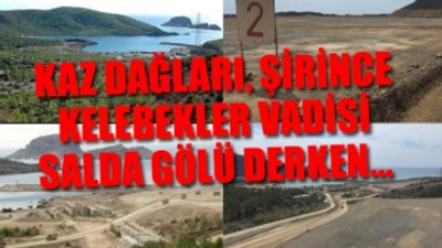 Şimdi de Mersin ağaç ve doğa katliamı ile karşı karşıya...