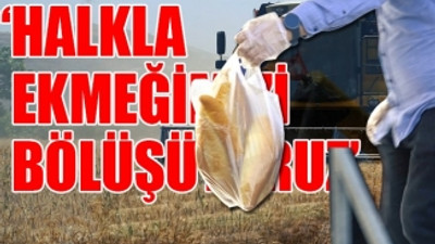 Belediye boş arsalara buğday ekti, ekmek yapıp bedava dağıttı