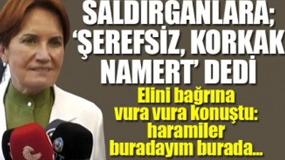 Meral Akşener, İYİ Partililerin saldırıya uğradığı Esenyurt'ta meydan okudu