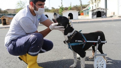 Tekerlekli sandalye bu kez Dost'a umut oldu