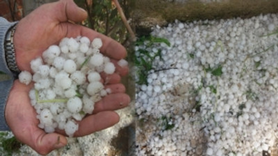 Ordu'da şiddetli dolu yağışı üreticiyi vurdu