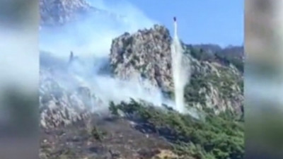 Hatay’da orman yangını