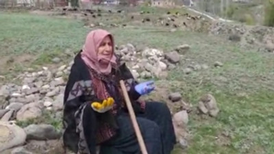 'Kahraman aile'nin kızı evsiz kaldı