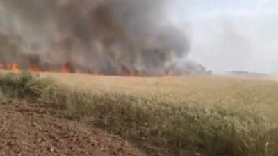 PKK/YPG, Tel Abyad'ta havan atışıyla tarım arazilerini yakıyor