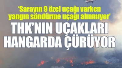 AKP iktidarı inat ediyor, ormanlar alev alev yanıyor...