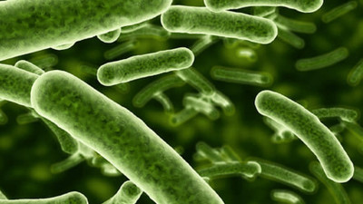 Bilim insanlarından uyarı: Et yiyen bakteri alarmı