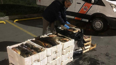 İstanbul'da 2 tona yakın balığa el konuldu