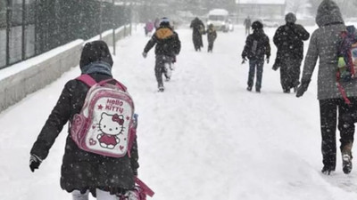 Eğitime kar engeli: Bazı illerde okullar tatil edildi
