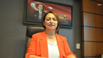 CHP'li Şevkin: Türkiye’nin en önemli kurumları tarumar ediliyor