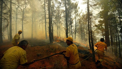 Bolu'da, bu yıl orman yangınlarında 150 hektar alan zarar gördü