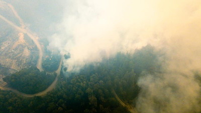 Arjantin'de çıkan orman yangınlarında 3 bin hektarlık alan kül oldu