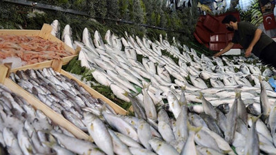 Balıkçılar için av yasağı başladı