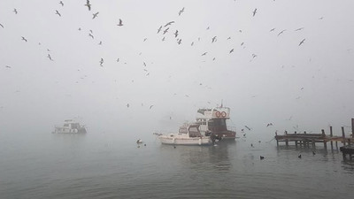 İstanbul'da deniz ulaşımına sis engeli