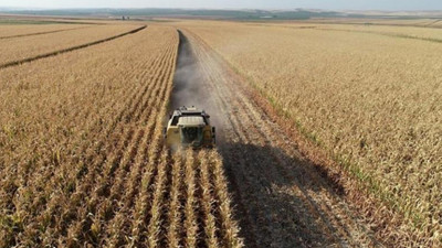 TÜİK açıkladı: Tarımda üretici enflasyonu yüzde 50,79