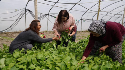 Selvi Kılıçdaroğlu, çiftçi kadınlarla bir araya geldi