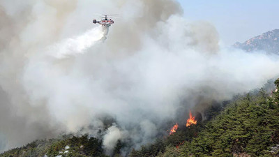 Güney Kore'nin başkenti Seul'de orman yangını: En az 120 ev boşaltıldı