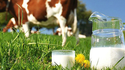 Süt üretiminde büyük düşüş