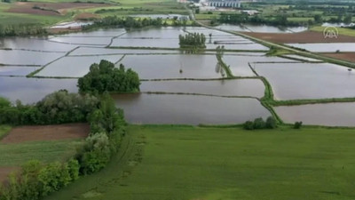 Bahar yağmurları çiftçinin yüzünü güldürdü: Trakya kuraklık haritasından çıktı