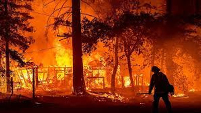 Küresel ısınma etkisi: ‘Orman yangını sezonu’ daha erken başlıyor