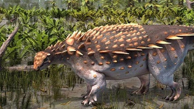 Yeni bir zırhlı dinozor türü keşfedildi