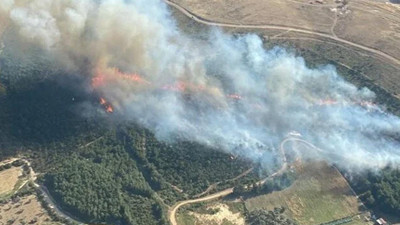 İzmir Menemen'de orman yangını