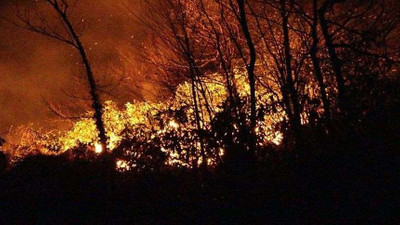 Muğla Valiliği'nden orman yangınlarına karşı uyarı