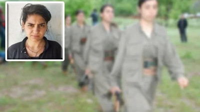 PKK'lı terörist, Türkiye’ye giriş yaparken yakalandı