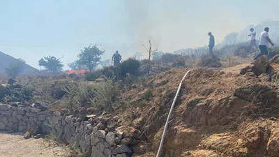 Bodrum'da 20 dönüm makilik alanda yangın