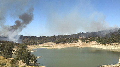 Mersin Tarsus'ta orman yangını