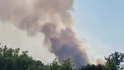 Adana'da orman yangını: 1 işçi yaralandı