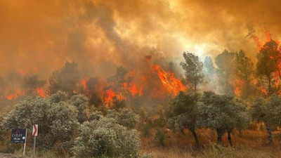 Muğla ve Antalya'daki orman yangınları kontrol altına alındı