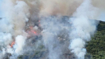 Muğla ve Gaziantep'te orman yangını