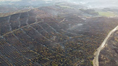 Çanakkale'de yanan alanlar havadan görüntülendi: Yeşil alan kalmadı