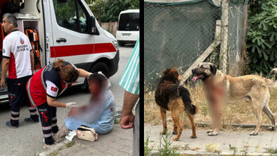 Ataşehir’de köpeğin saldırısına uğrayan kadın ağır yaralandı: Köpeğin sahibi tutuklandı
