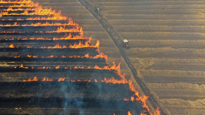 Trakya'da son 20 günde 930 dönüm buğday tarlası yandı