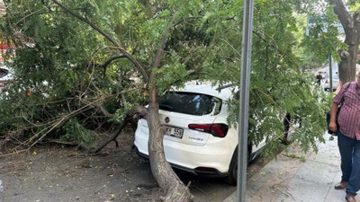 Aracın üstüne ağaç devrildi, vatandaşlar panik yaşadı