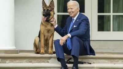 Biden'ın köpeği en az 10 ajanı ısırdı