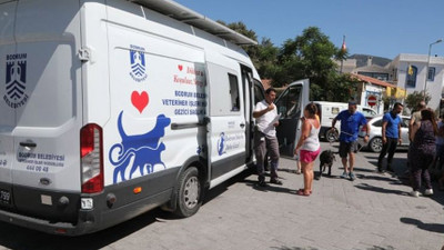 Bodrum Belediyesi'nden 272 sahipsiz sokak hayvanına sağlık hizmeti