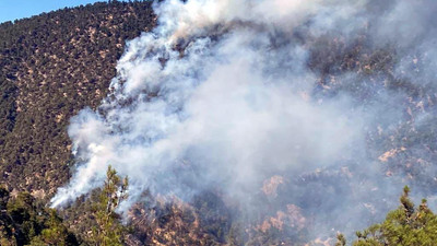 Bolu'daki orman yangını üç gündür söndürülemedi: Müdahale sürüyor