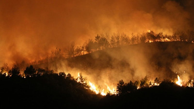Hatay'daki orman yangınının nedeni belli oldu