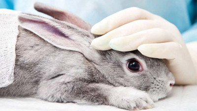 Kanada, kozmetik ürünlerin hayvanlar üzerinde test edilmesini yasakladı