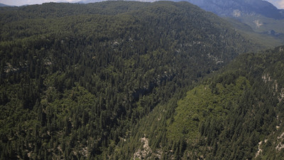 Kars'ta ormanlık alanlara giriş yasağı getirildi