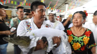 Meksikalı belediye başkanı, timsahla evlendi