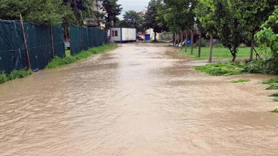 Sakarya'da su baskını sonucu 20 bin civciv öldü