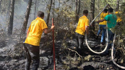 Kastamonu'da ormanlık alana yıldırım düşmesi sonucu yangın çıktı